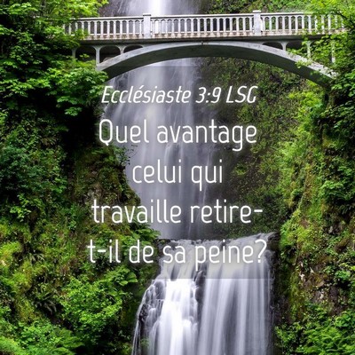 Picture 04 - Ecclésiaste 3:9 LSG - Quel avantage celui qui travaille retire-t-il de - Bible Verse Picture