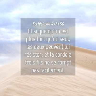 Picture 04 - Ecclésiaste 4:12 LSG - Et si quelqu'un est plus fort qu'un seul, les - Bible Verse Picture