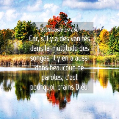Picture 04 - Ecclésiaste 5:7 LSG - Car, s'il y a des vanités dans la multitude des - Bible Verse Picture