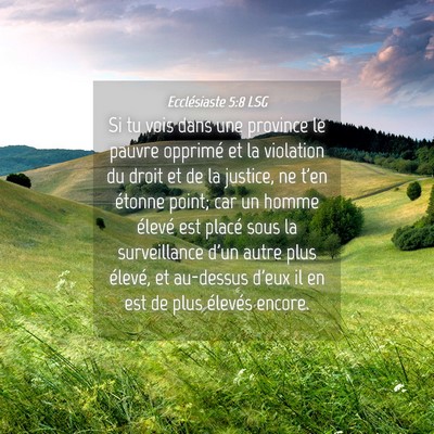 Picture 04 - Ecclésiaste 5:8 LSG - Si tu vois dans une province le pauvre opprimé - Bible Verse Picture