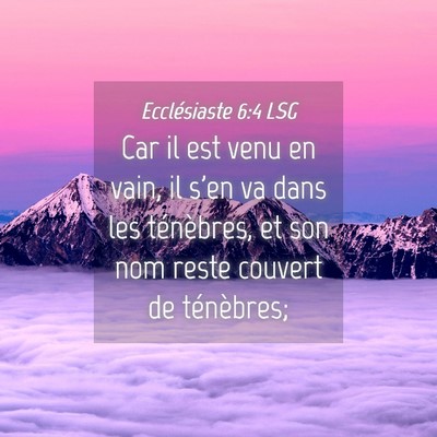 Picture 04 - Ecclésiaste 6:4 LSG - Car il est venu en vain, il s'en va dans les - Bible Verse Picture