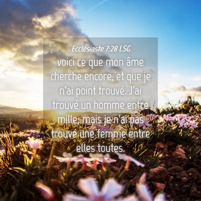Picture 04 - Ecclésiaste 7:28 LSG - voici ce que mon âme cherche encore, et que je - Bible Verse Picture