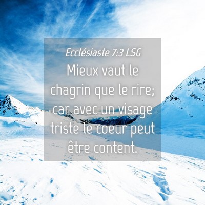 Picture 04 - Ecclésiaste 7:3 LSG - Mieux vaut le chagrin que le rire; car avec un - Bible Verse Picture
