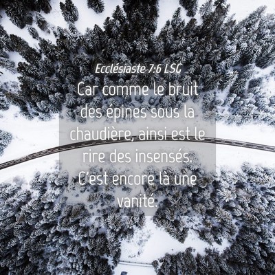 Picture 04 - Ecclésiaste 7:6 LSG - Car comme le bruit des épines sous la - Bible Verse Picture