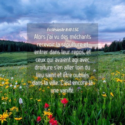Picture 04 - Ecclésiaste 8:10 LSG - Alors j'ai vu des méchants recevoir la - Bible Verse Picture