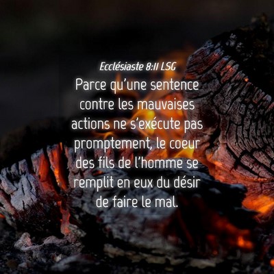 Picture 04 - Ecclésiaste 8:11 LSG - Parce qu'une sentence contre les mauvaises - Bible Verse Picture