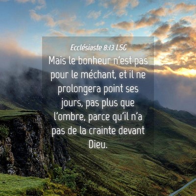 Picture 04 - Ecclésiaste 8:13 LSG - Mais le bonheur n'est pas pour le méchant, et il - Bible Verse Picture