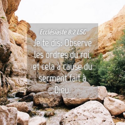 Picture 04 - Ecclésiaste 8:2 LSG - Je te dis: Observe les ordres du roi, et cela à - Bible Verse Picture