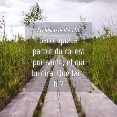Picture 04 - Ecclésiaste 8:4 LSG - parce que la parole du roi est puissante; et qui - Bible Verse Picture