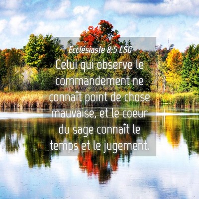 Picture 04 - Ecclésiaste 8:5 LSG - Celui qui observe le commandement ne connaît - Bible Verse Picture