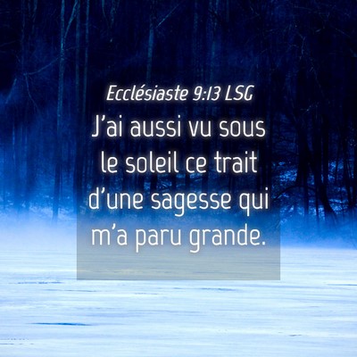 Picture 04 - Ecclésiaste 9:13 LSG - J'ai aussi vu sous le soleil ce trait d'une - Bible Verse Picture