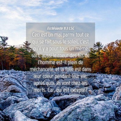 Picture 04 - Ecclésiaste 9:3 LSG - Ceci est un mal parmi tout ce qui se fait sous le - Bible Verse Picture