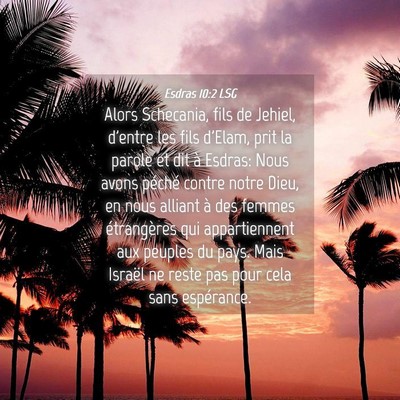 Picture 04 - Esdras 10:2 LSG - Alors Schecania, fils de Jehiel, d'entre les fils - Bible Verse Picture