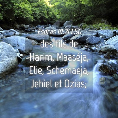 Picture 04 - Esdras 10:21 LSG - des fils de Harim, Maaséja, Elie, Schemaeja, - Bible Verse Picture
