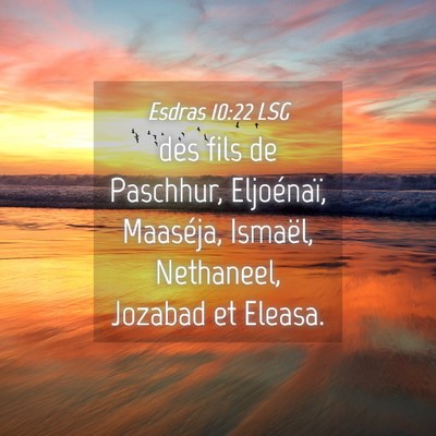Picture 04 - Esdras 10:22 LSG - des fils de Paschhur, Eljoénaï, Maaséja, - Bible Verse Picture