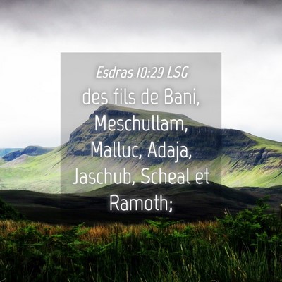 Picture 04 - Esdras 10:29 LSG - des fils de Bani, Meschullam, Malluc, Adaja, - Bible Verse Picture
