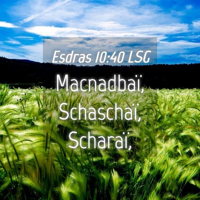 Picture 04 - Esdras 10:40 LSG - Macnadbaï, Schaschaï, - Bible Verse Picture