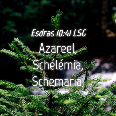 Picture 04 - Esdras 10:41 LSG - Azareel, Schélémia, - Bible Verse Picture