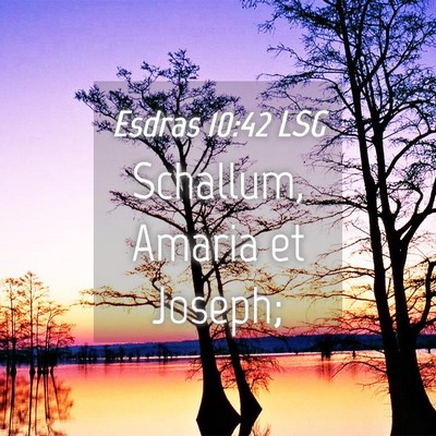 Picture 04 - Esdras 10:42 LSG - Schallum, Amaria et - Bible Verse Picture