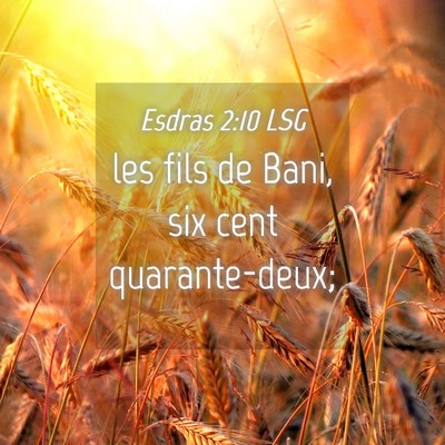 Picture 04 - Esdras 2:10 LSG - les fils de Bani, six cent - Bible Verse Picture