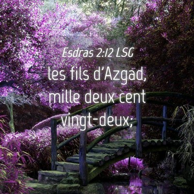 Picture 04 - Esdras 2:12 LSG - les fils d'Azgad, mille deux cent - Bible Verse Picture