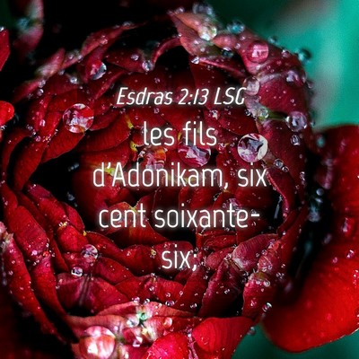 Picture 04 - Esdras 2:13 LSG - les fils d'Adonikam, six cent - Bible Verse Picture