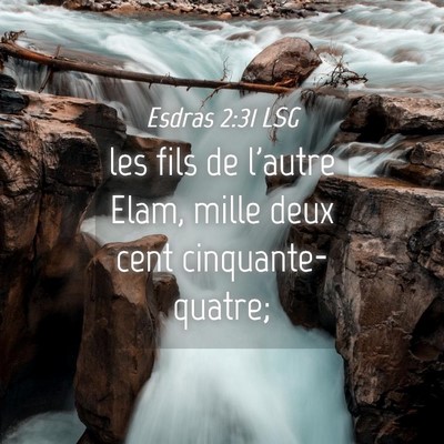 Picture 04 - Esdras 2:31 LSG - les fils de l'autre Elam, mille deux cent - Bible Verse Picture