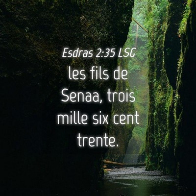 Picture 04 - Esdras 2:35 LSG - les fils de Senaa, trois mille six cent - Bible Verse Picture