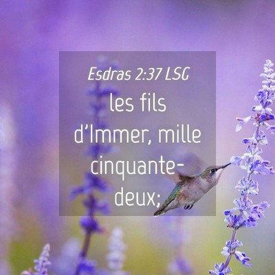 Picture 04 - Esdras 2:37 LSG - les fils d'Immer, mille - Bible Verse Picture