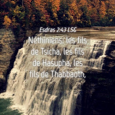 Picture 04 - Esdras 2:43 LSG - Néthiniens: les fils de Tsicha, les fils de - Bible Verse Picture
