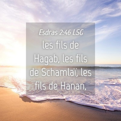 Picture 04 - Esdras 2:46 LSG - les fils de Hagab, les fils de Schamlaï, les - Bible Verse Picture