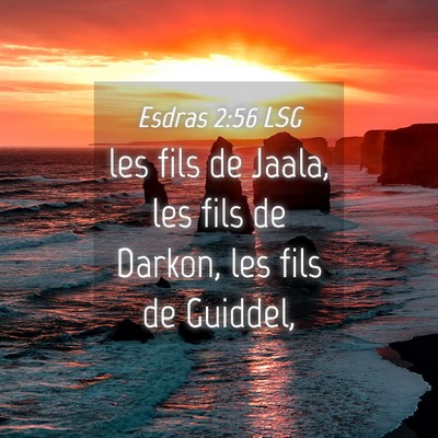 Picture 04 - Esdras 2:56 LSG - les fils de Jaala, les fils de Darkon, les fils - Bible Verse Picture