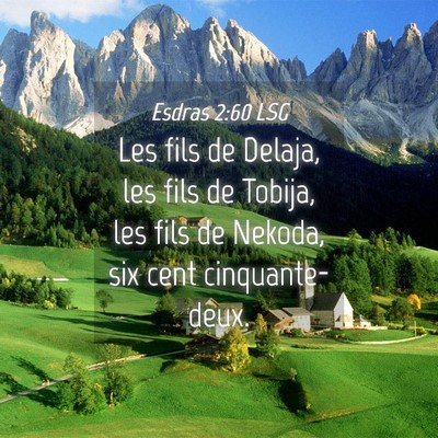 Picture 04 - Esdras 2:60 LSG - Les fils de Delaja, les fils de Tobija, les fils - Bible Verse Picture
