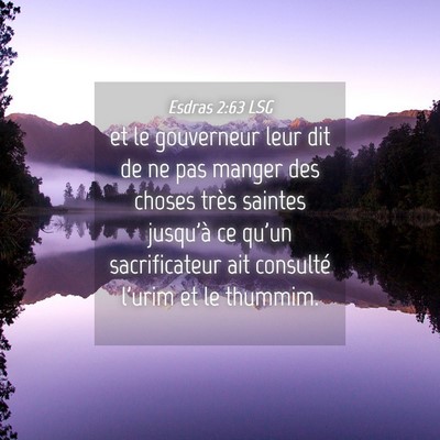 Picture 04 - Esdras 2:63 LSG - et le gouverneur leur dit de ne pas manger des - Bible Verse Picture
