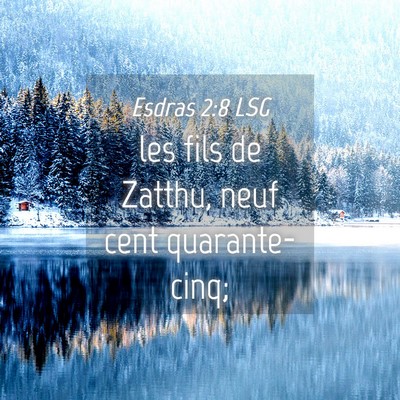 Picture 04 - Esdras 2:8 LSG - les fils de Zatthu, neuf cent - Bible Verse Picture