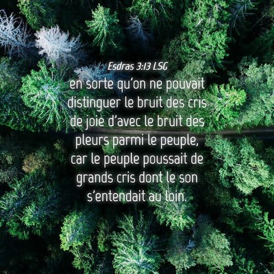 Picture 04 - Esdras 3:13 LSG - en sorte qu'on ne pouvait distinguer le bruit des - Bible Verse Picture