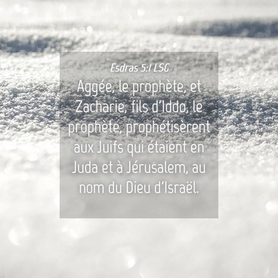 Picture 04 - Esdras 5:1 LSG - Aggée, le prophète, et Zacharie, fils d'Iddo, - Bible Verse Picture