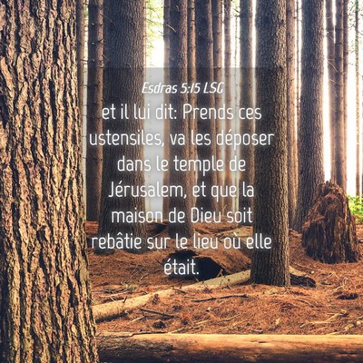 Picture 04 - Esdras 5:15 LSG - et il lui dit: Prends ces ustensiles, va les - Bible Verse Picture