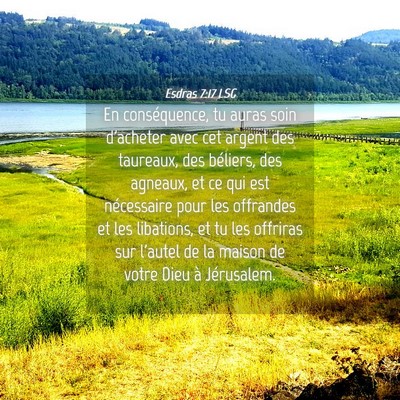 Picture 04 - Esdras 7:17 LSG - En conséquence, tu auras soin d'acheter avec cet - Bible Verse Picture