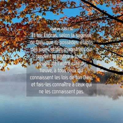 Picture 04 - Esdras 7:25 LSG - Et toi, Esdras, selon la sagesse de Dieu que tu - Bible Verse Picture