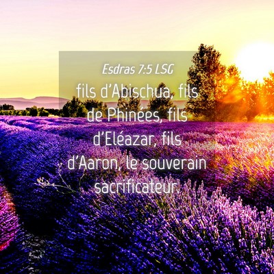 Picture 04 - Esdras 7:5 LSG - fils d'Abischua, fils de Phinées, fils - Bible Verse Picture