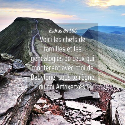Picture 04 - Esdras 8:1 LSG - Voici les chefs de familles et les généalogies - Bible Verse Picture
