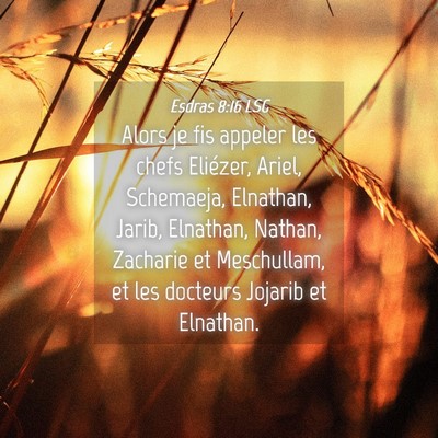 Picture 04 - Esdras 8:16 LSG - Alors je fis appeler les chefs Eliézer, Ariel, - Bible Verse Picture