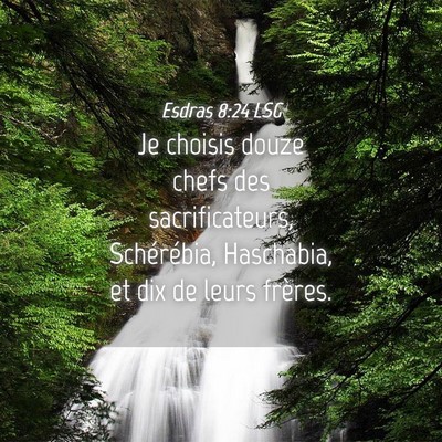Picture 04 - Esdras 8:24 LSG - Je choisis douze chefs des sacrificateurs, - Bible Verse Picture
