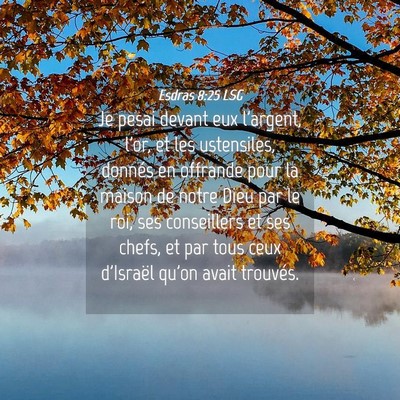 Picture 04 - Esdras 8:25 LSG - Je pesai devant eux l'argent, l'or, et les - Bible Verse Picture