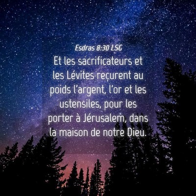 Picture 04 - Esdras 8:30 LSG - Et les sacrificateurs et les Lévites reçurent - Bible Verse Picture