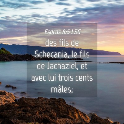 Picture 04 - Esdras 8:5 LSG - des fils de Schecania, le fils de Jachaziel, et - Bible Verse Picture