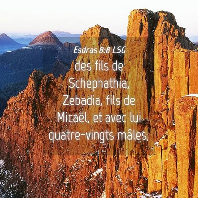 Picture 04 - Esdras 8:8 LSG - des fils de Schephathia, Zebadia, fils de - Bible Verse Picture