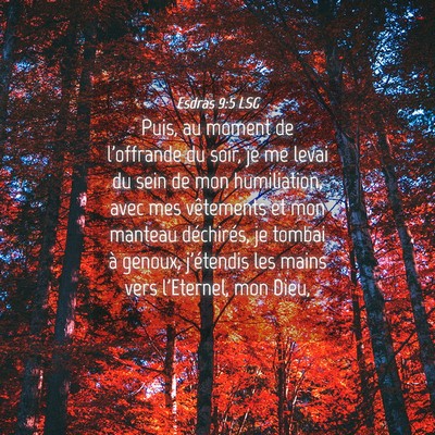 Picture 04 - Esdras 9:5 LSG - Puis, au moment de l'offrande du soir, je me - Bible Verse Picture