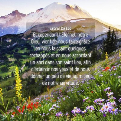 Picture 04 - Esdras 9:8 LSG - Et cependant l'Eternel, notre Dieu, vient de nous - Bible Verse Picture